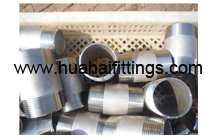 BS Thread  Steel Pipe Nipple/Barrel Nipple 304