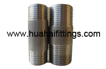 DIN2986 Stainlesss Steel Barrel Nipple 316