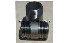 DIN2999 Stainless Steel Barrel Nipple SS304/316