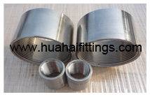 DIN2999 Stainless Steel 304 Coupling/Socket
