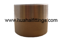 Sch40 Stainless Steel 316 Welding Nipple NPT