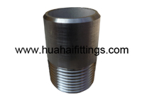 ANSI/ASME B1.20.1 Stainless Steel Welding Nipple 1"