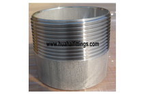 DIN2986 Stainlesss Steel Half Nipple SS304