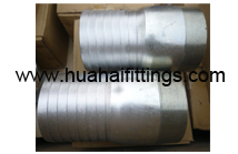 DIN2982 Carbon Steel Hose Nipple/King Nipple